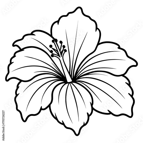 a hibiscus flower vector art illustration (10)