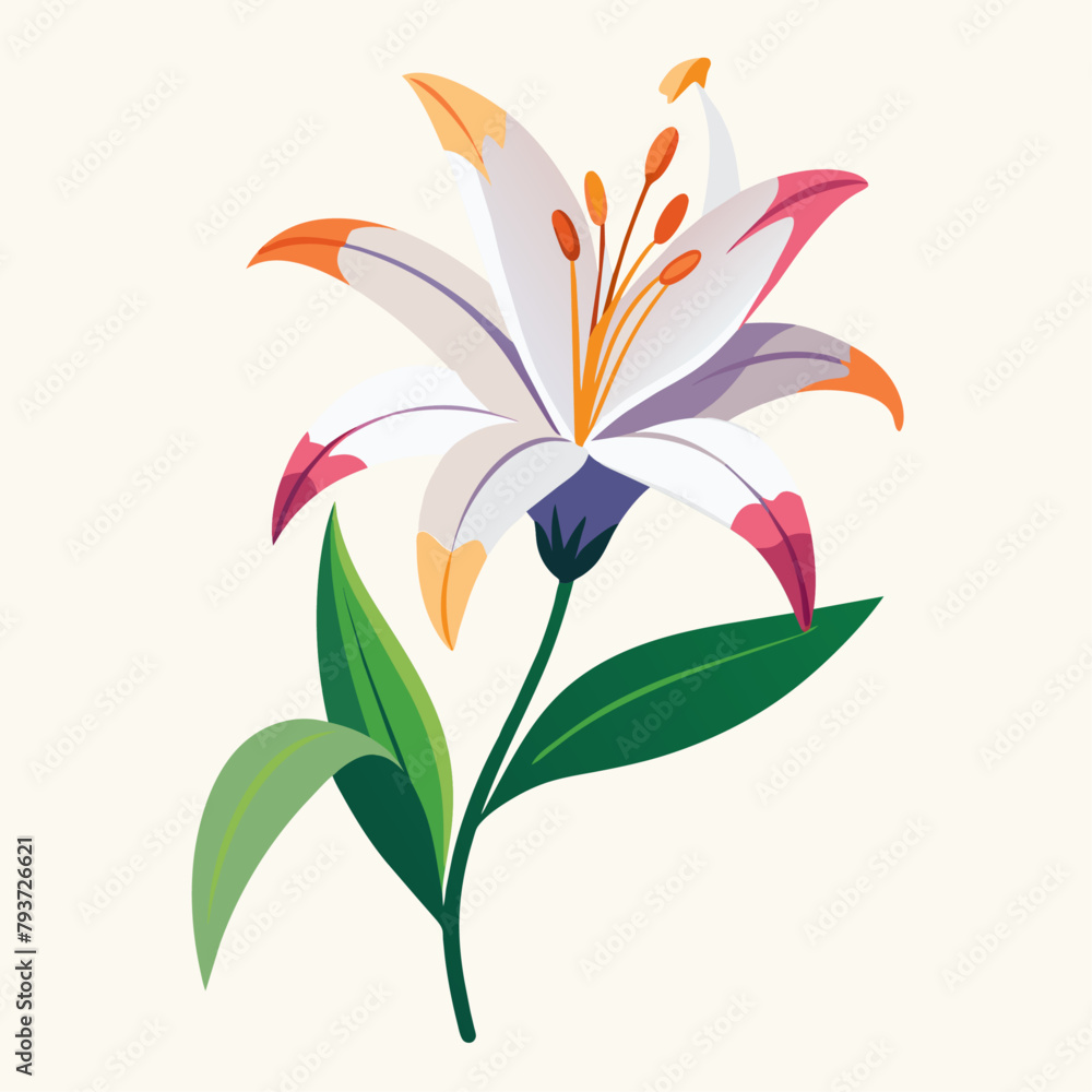 a minimal and simple color beautiful fresh lily flower with bud vector art illustration, solid white background (16) a minimal and simple color beautiful fresh lily flower with bud vector art illustration, solid white background (16)