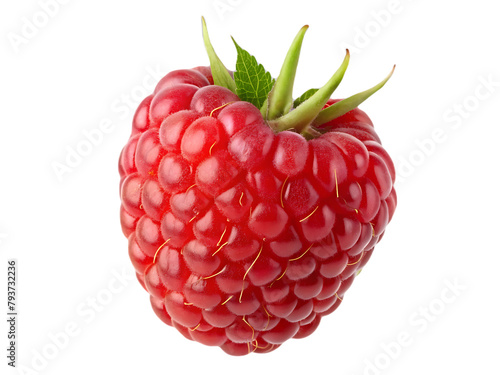 Pineberry fruit isolated on transparent background