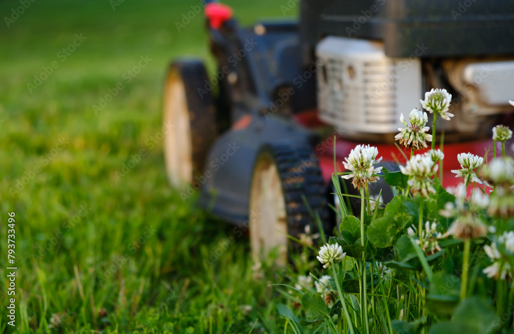 Lawn mower on green grass background. Petrol machine for cutting. Garden care. Electric equipment. Side view. Copy space. Lots of clover weeds. Sport lawn for games. Weed control. High quality photo Lawn mower on green grass background. Petrol machine for cutting. Garden care. Electric equipment. Side view. Copy space. Lots of clover weeds. Sport lawn for games. Weed control. High quality photo