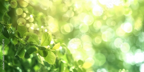 a tree branch with small leaves with sun rays, green blurry bokeh background