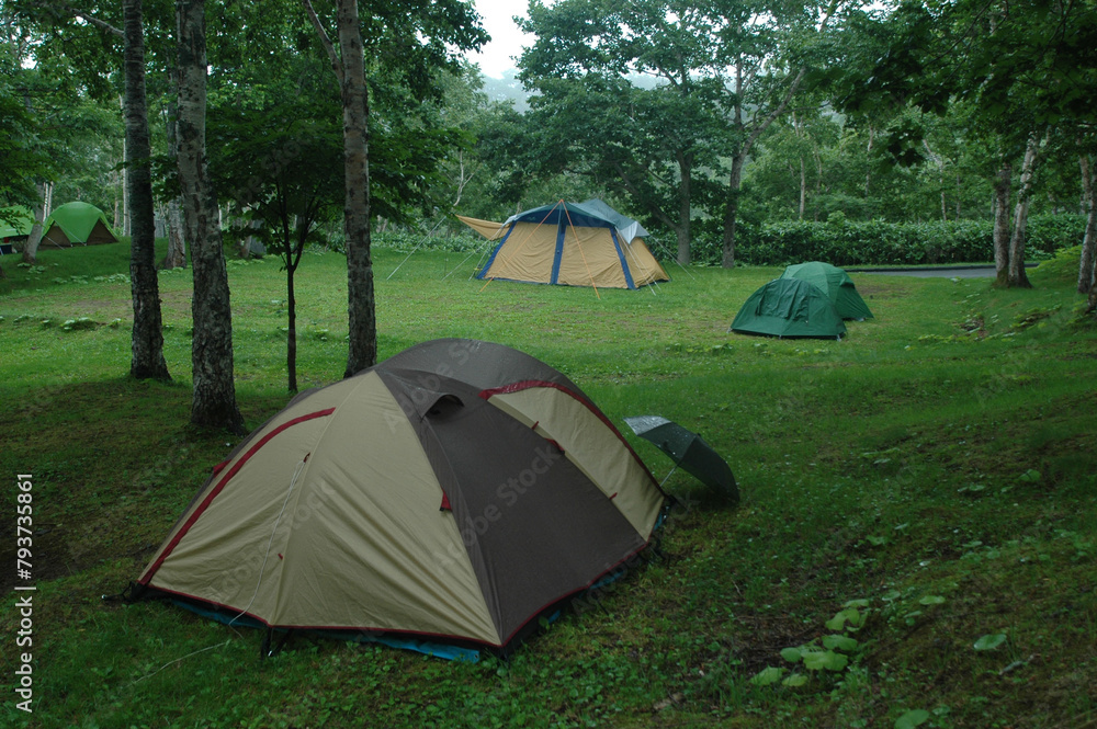 雨の森のキャンプ場(北海道) 雨の森のキャンプ場(北海道)