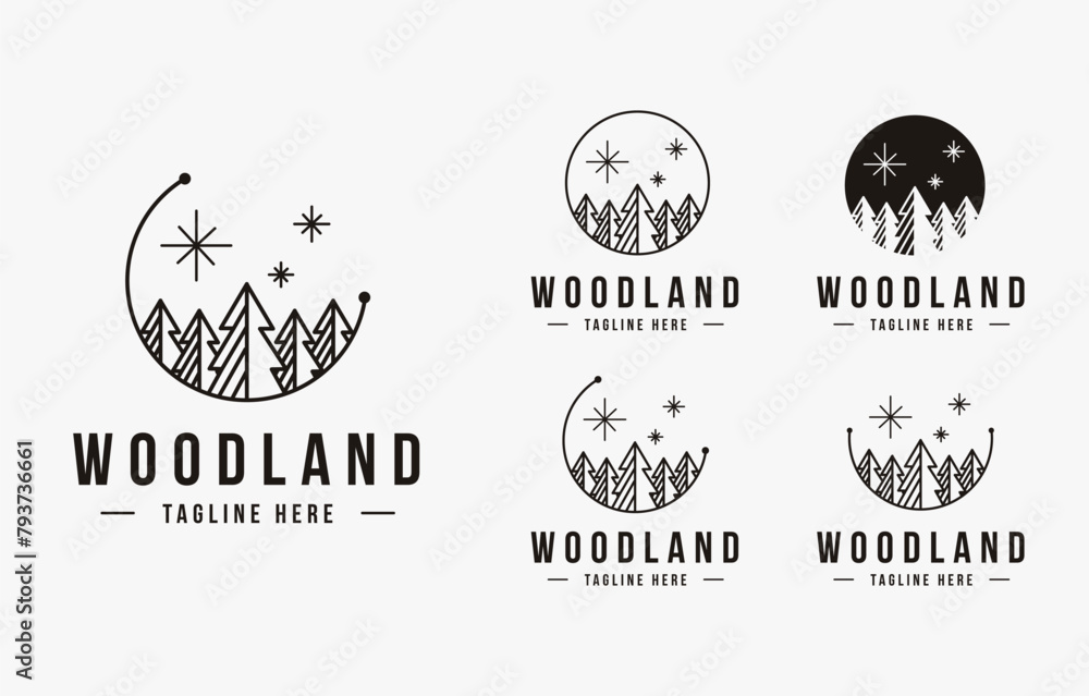 Pine tree forest logo, woodland logo icon vector template set on white background