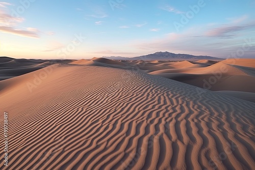 Time-lapse Desert Dune Videos: Dynamic Changes in Detailed Desert Floor Scenery