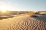 Desert Dunes Time-Lapse: Seasonal Shifts in Enigmatic Environments