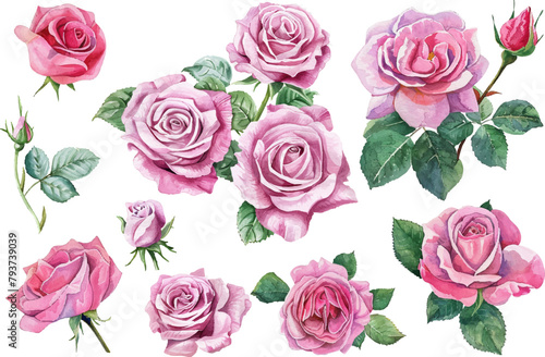 watercolor pink rose flower bouquet © asadul