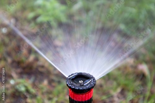 Close-up of a garden sprinkler head watering plants with fine mist