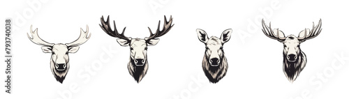Moose | Minimalist and Simple set of 3 Line White background - Vector illustration