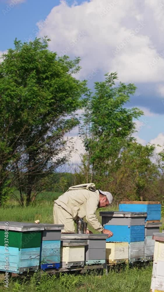 Beekeeper in special uniform working at rural bee farm. Sunny windy day at apiary located in the nature. Vertical video Beekeeper in special uniform working at rural bee farm. Sunny windy day at apiary located in the nature. Vertical video