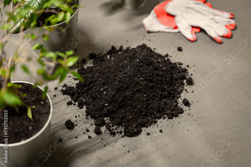 process of planting flowers in the office - universal flower soil - transplanting station