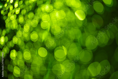 green blur background, Christmas texture