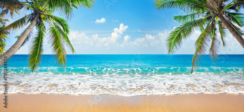 panorama of tropical beach with coconut palm trees © Alexander Ozerov