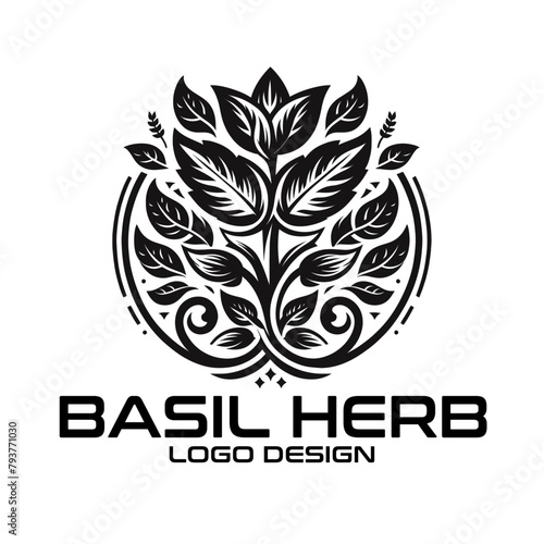 Basil Herb Vector Logo Design