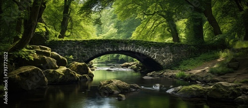 A forest bridge crossing a stream with rocks and trees