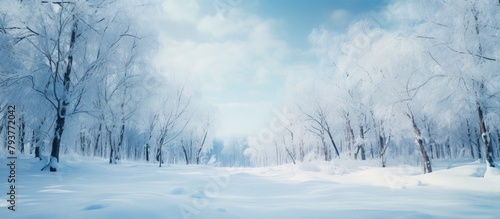 Snowy trail winds through frosty woods © Ilgun