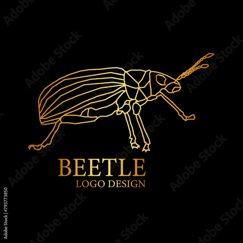 Beetle Vector Logo Design