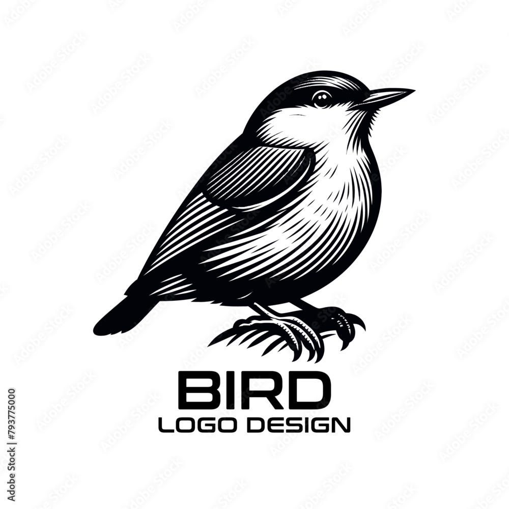 Obraz premium Bird Vector Logo Design