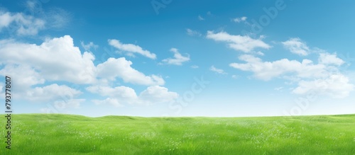 Green field under blue sky with fluffy clouds