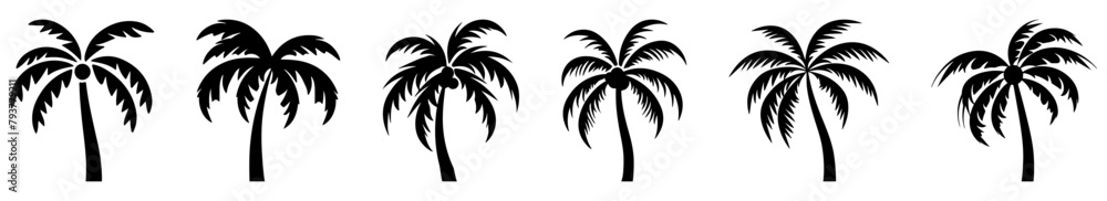 Palm trees set isolated on white background. Palm silhouettes. Vector illustration