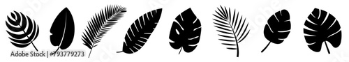 Set of black silhouettes of tropical leaves
