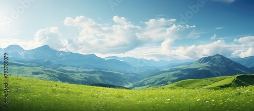 Green meadow  flowers  distant mountains