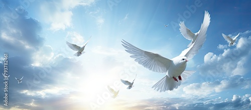 Giraffes soar skyward with doves in foreground photo