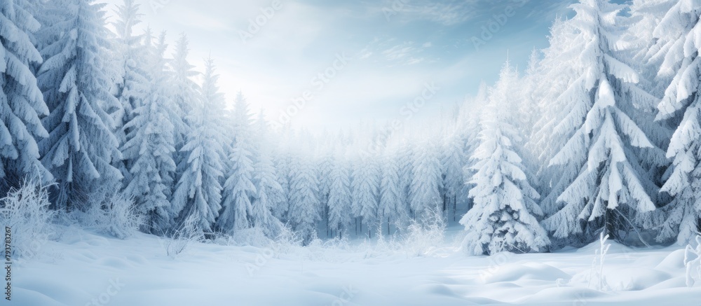Snowy trees in a forest under a clear blue sky Stock Photo | Adobe Stock