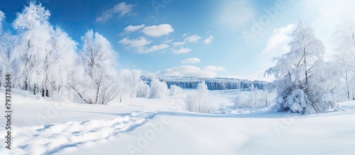 Snowy forest path © Ilgun
