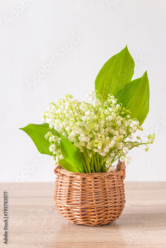 May Day greeting card template; Bouquet of lilies of the valley in wicker basket on a white background
