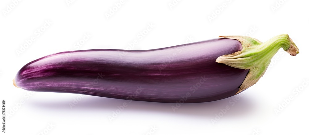 Eggplant with green stem on white backdrop Eggplant with green stem on white backdrop