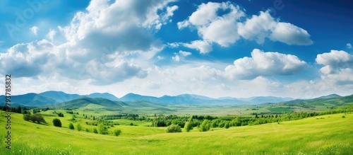 Green field with distant mountains