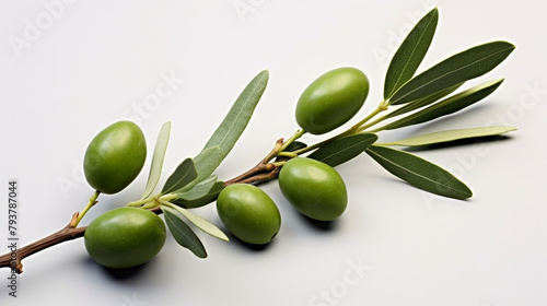 Wallpaper Mural olive branch on white background, center image is blank сreated with Generative Ai Torontodigital.ca