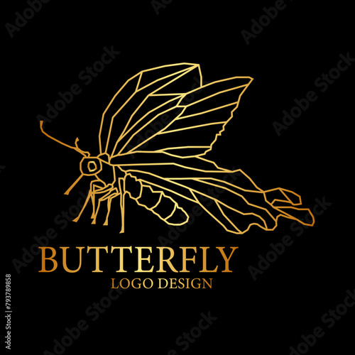 Butterfly Vector  Logo Design  photo