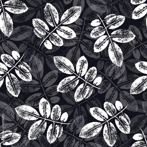 Seamless pattern with white and gray silhouettes of rosehip leaves chaotically arranged on a dark background. For fabric, wrapping paper, cover. 