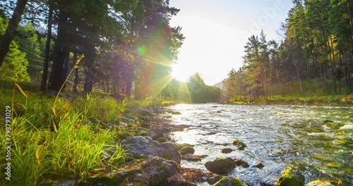4K mountain river timelapse at the summer or autumn time. Wild nature, clear water and rural evergreen valley. Sun rays, small creek and yellow grass. Motorised dolly slider movement