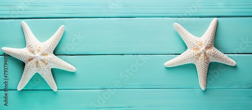 Two starfish on turquoise wood