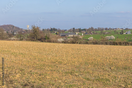 Agriculture around the old Blegny mine, unspoiled by the former industrial activities photo