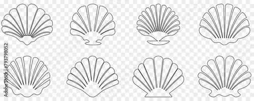 Set of seashell outline icons. Vector illustration isolated on transparent background photo