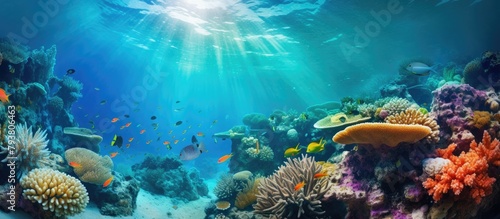 Fish swimming in vibrant coral reef with sunlight filtering through water