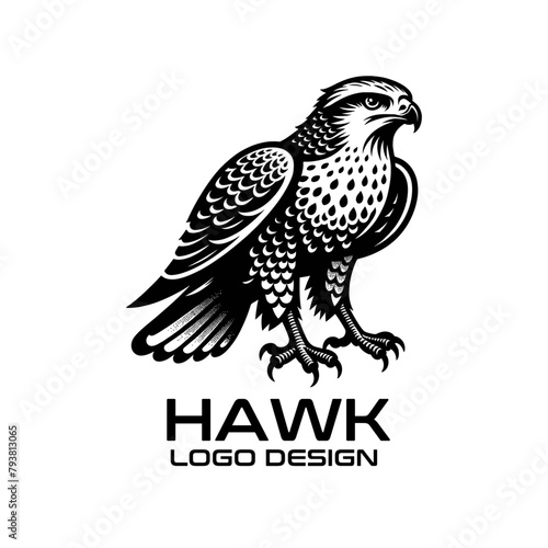 Hawk Vector Logo Design