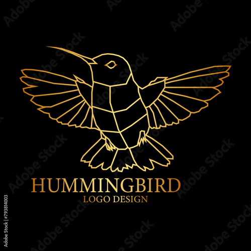 Hummingbird Vector Logo Design