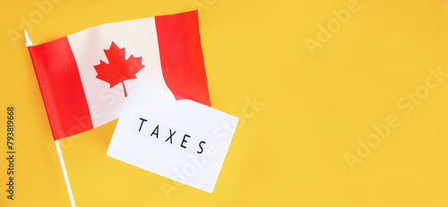Tax system in Canada. Income calculating. Financial analytics. 