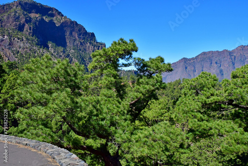 La Palma, Canary Islands - march 15 2024 :  La Caldera de Taburiente © PackShot