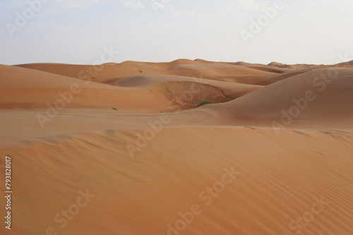 Sand dunes scene © trgowanlock