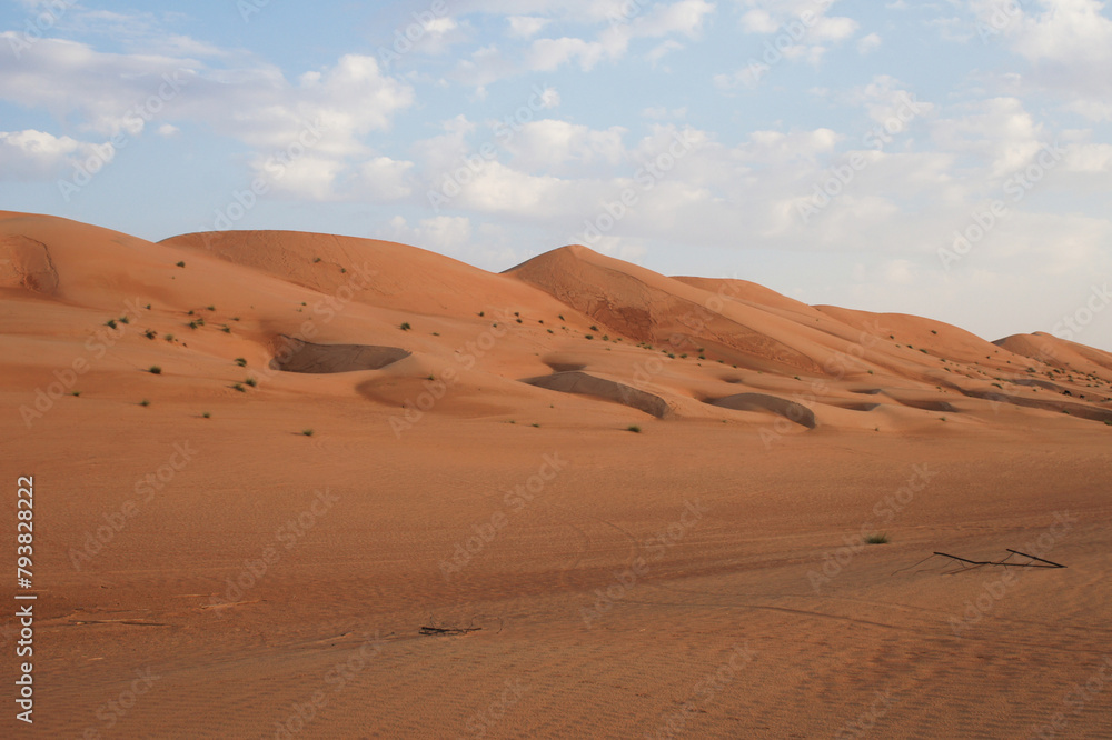 Sand dunes scene