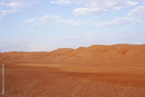 Sand dunes scene © trgowanlock