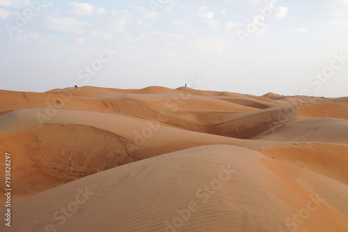 Sand dunes scene
