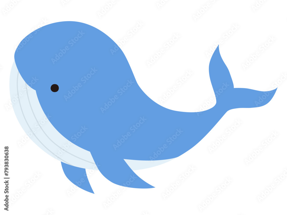 かわいいクジラのベクターイラスト。鯨、アイコン、海、水族館 かわいいクジラのベクターイラスト。鯨、アイコン、海、水族館