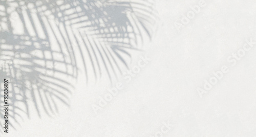 Grey shadow of natural palm leaf and tree abstract background falling on white wall texture for background and wallpaper. Tropical palm leaves foliage shadow overlay effect, foliage mockup and design