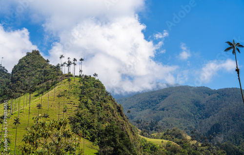 Cocora Valley  Colombia